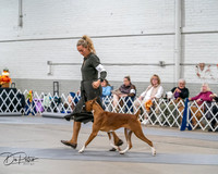 20261022-DSC02734
