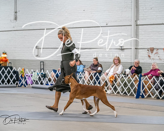 20261022-DSC02734