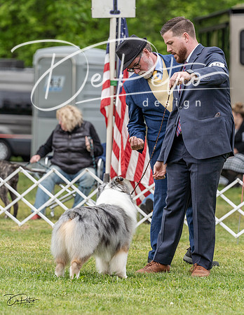 20230427-DSC07374