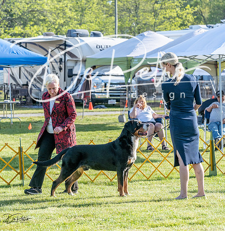 20230513-DSC02347