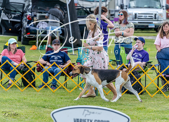 20230512-DSC03612
