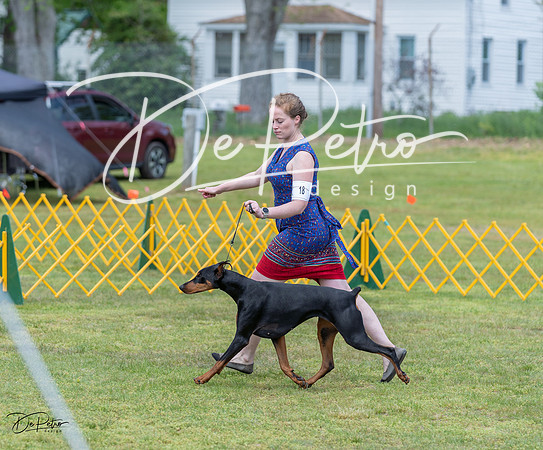 20230513-DSC08615