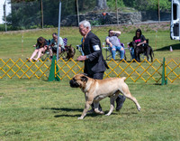 20230514-DSC03647