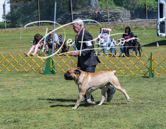 20230514-DSC03647
