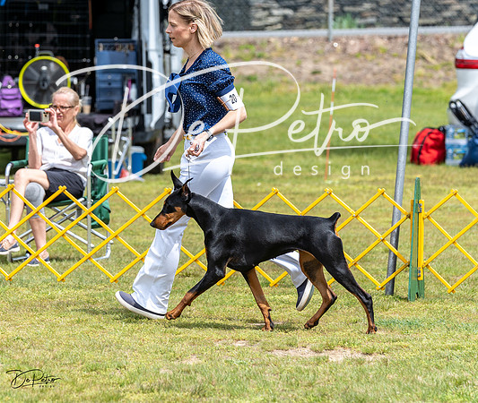 20230513-DSC08296