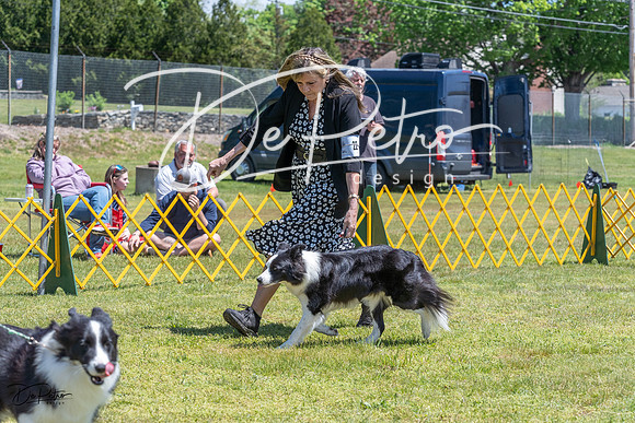 20230514-DSC04887