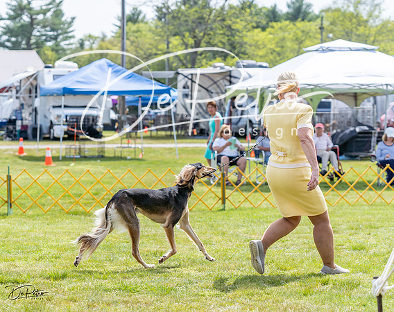 20230513-DSC09549