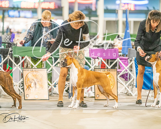 20261022-DSC01889