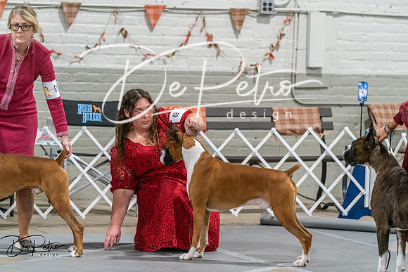 20261023-DSC05747
