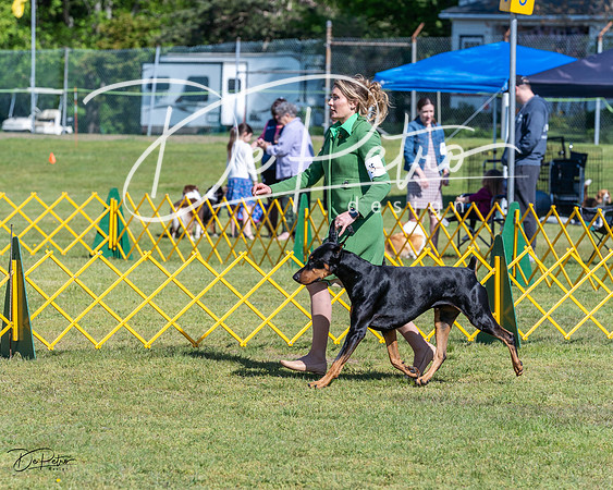 20230514-DSC03320