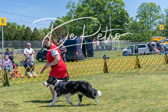 20230514-DSC05006