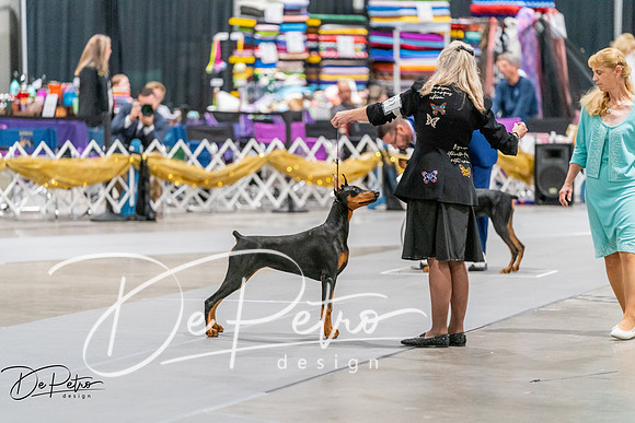 20260930-DSC06943