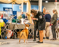 20261022-DSC01594