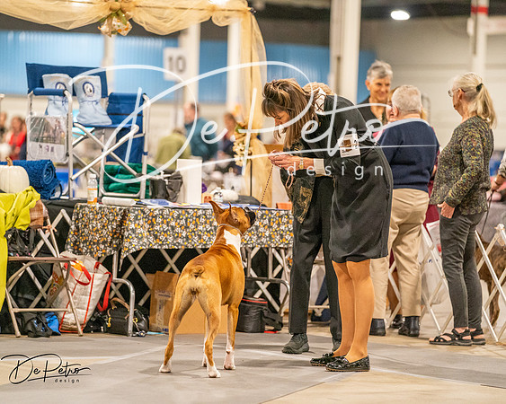 20261022-DSC01594