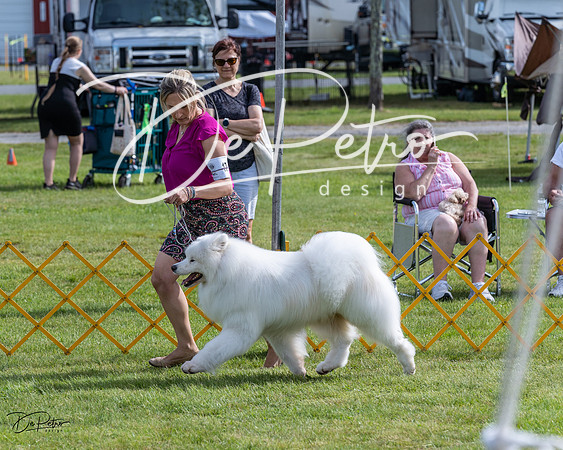 20230513-DSC00850