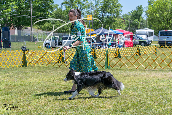 20230514-DSC04979