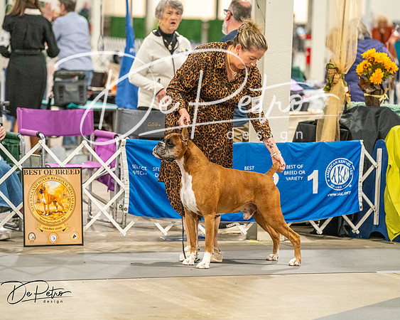 20261022-DSC02036