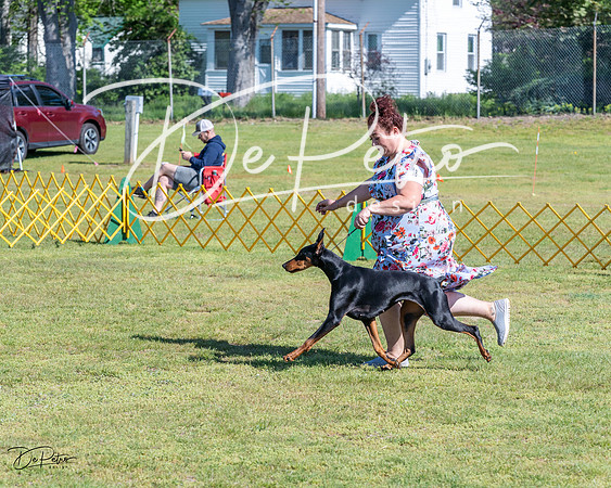 20230514-DSC02624