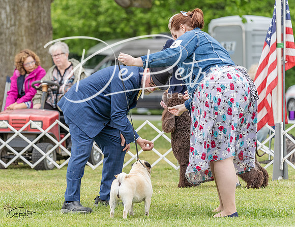20230427-DSC07464