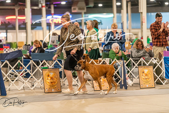 20261023-DSC05352