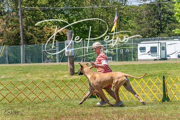 20230514-DSC07913