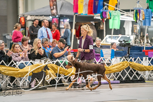 20260926-DSC04419