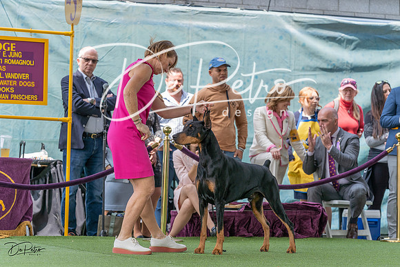 20230509-DSC01277