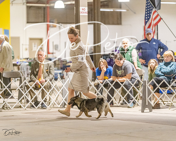 20230401-DSC08043