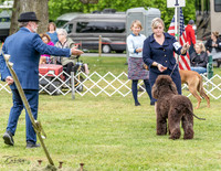 20230427-DSC07236