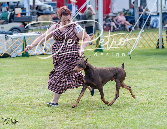 20230513-DSC08795