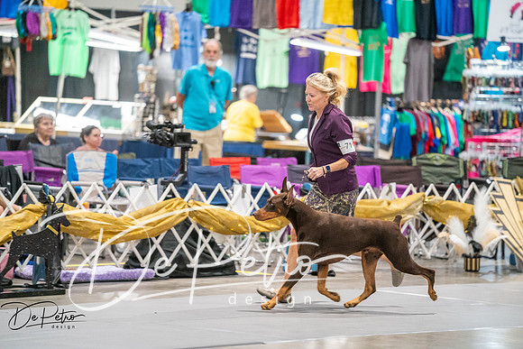 20260926-DSC04289