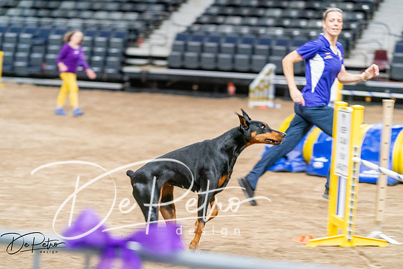 20260929-DSC06730