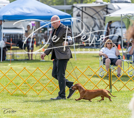 20230513-DSC09741