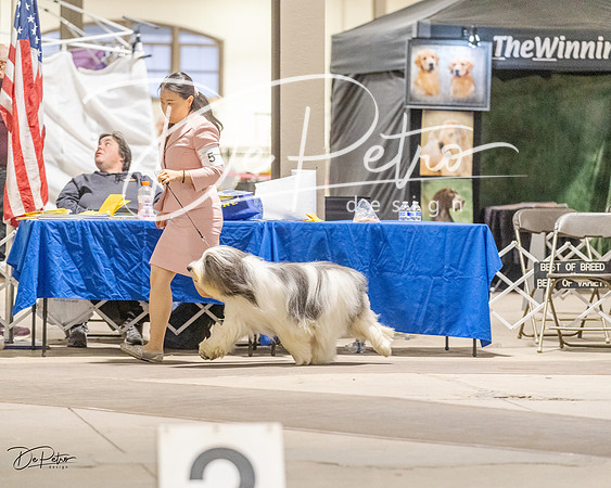 20230401-DSC07940