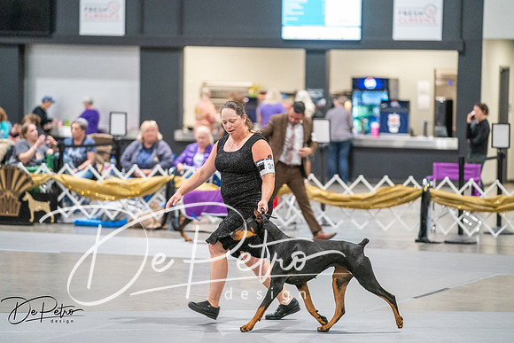 20260926-DSC04194