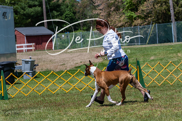 20230514-DSC04422