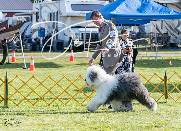20230513-DSC02433