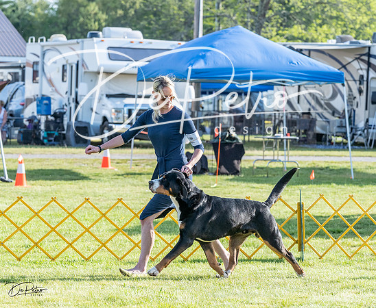 20230513-DSC02313