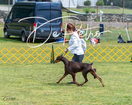20230513-DSC08499