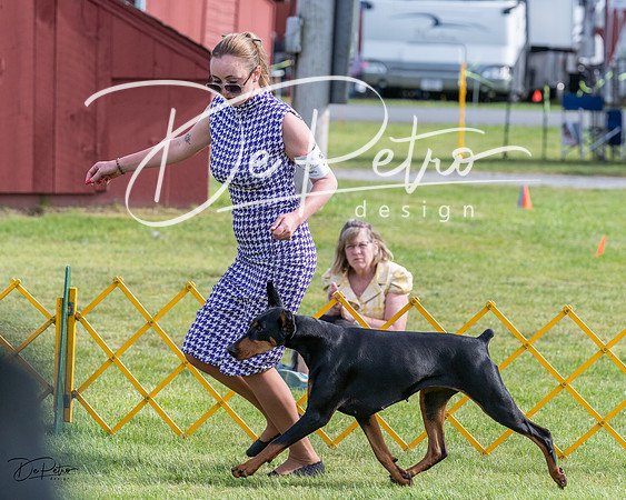 20230513-DSC01071