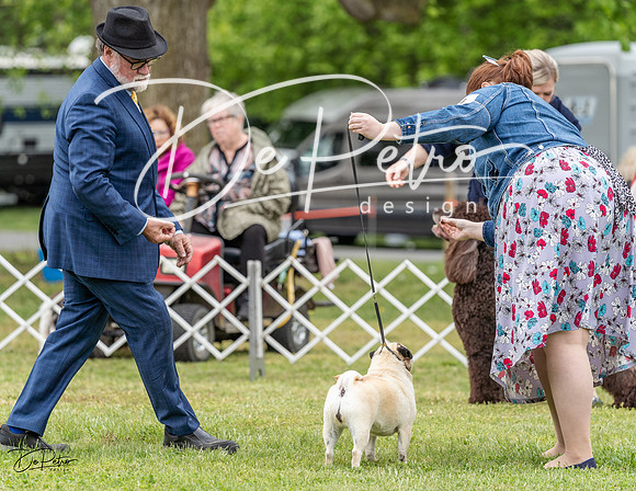 20230427-DSC07467