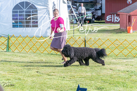 20230513-DSC02181