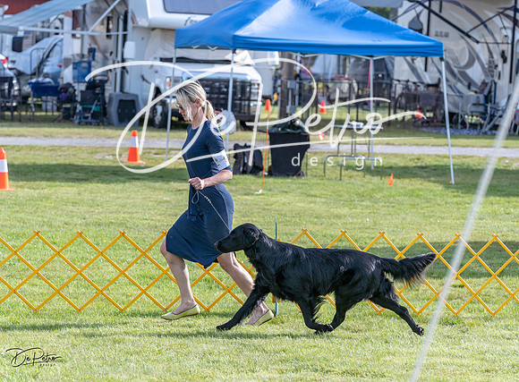 20230513-DSC01856