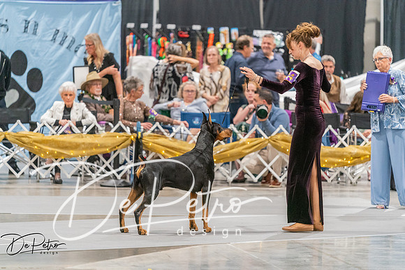 20260928-DSC06244