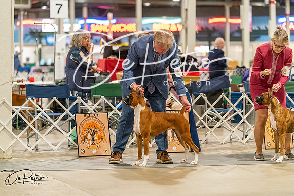 20261023-DSC05236
