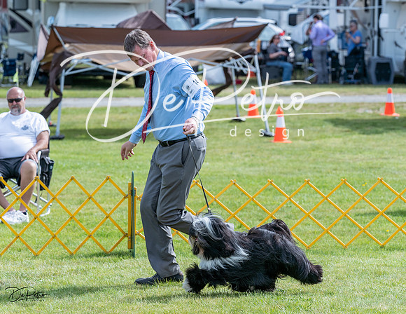 20230513-DSC00335