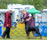 20230513-DSC08128