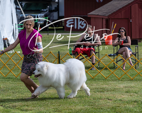 20230513-DSC00865