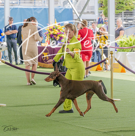20230509-DSC01411