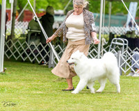 20230427-DSC03065